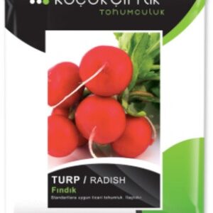 Turp Fındık (Cherry Belle) 10gr