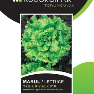 Marul Yazlık Kıvırcık 010 - 10gr