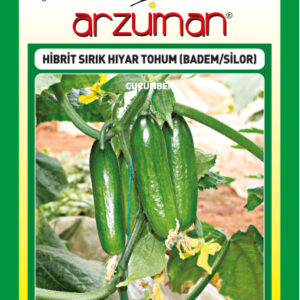 Hıyar Silor, Badem Hıyar F1 (Sırık) 10adet