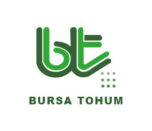 Bursa Tohum