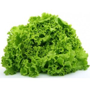 Marul Kışlık Kıvırcık 10gr