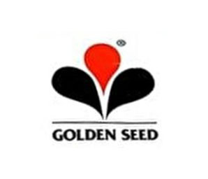 Golden Seed
